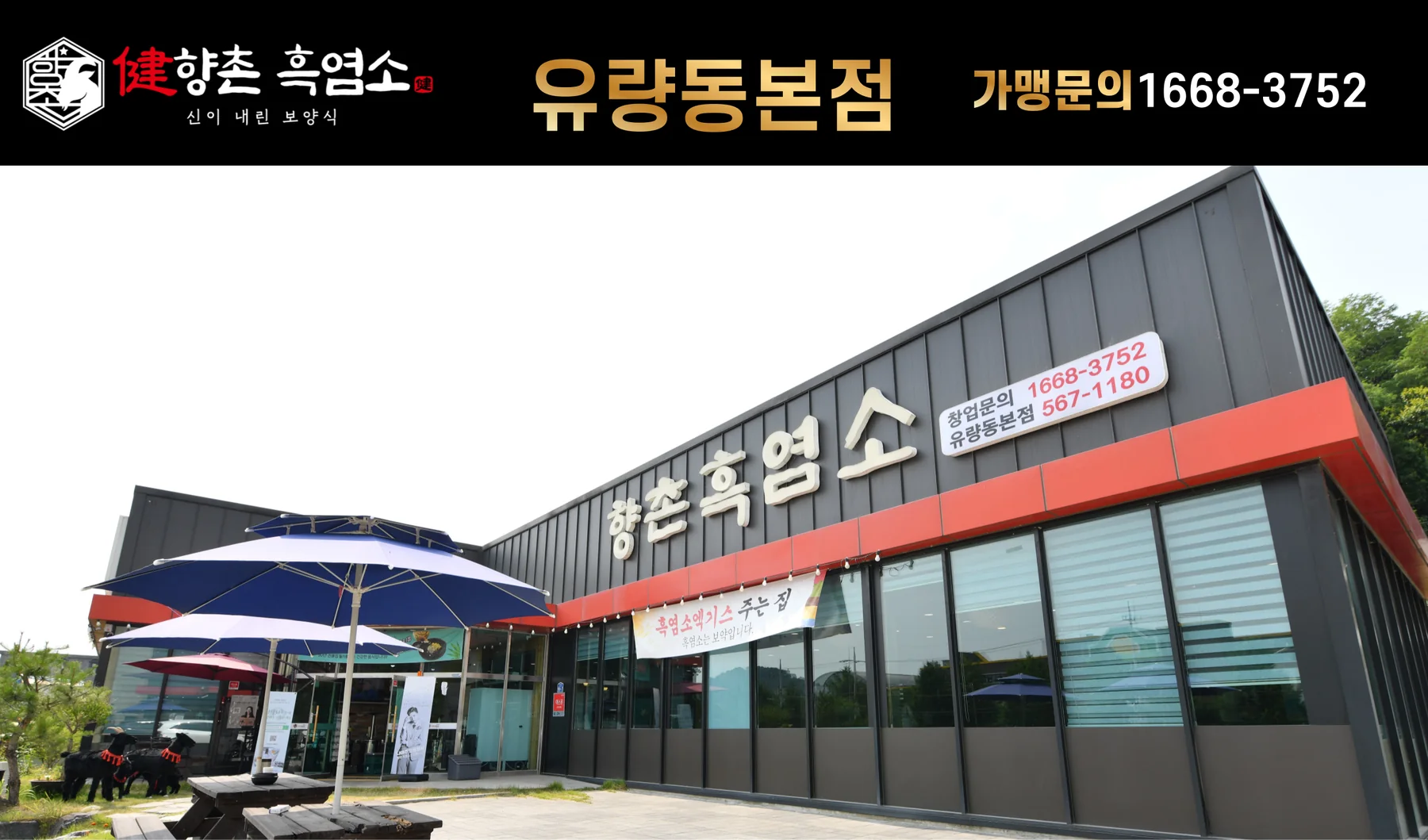향촌흑염소 유량동본점 그랜드 오픈